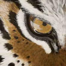 Afbeelding in Gallery-weergave laden, Namr tijgeroog oorbellen